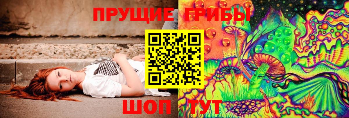 Псилоцибиновые грибы прущие грибы Хасавюрт